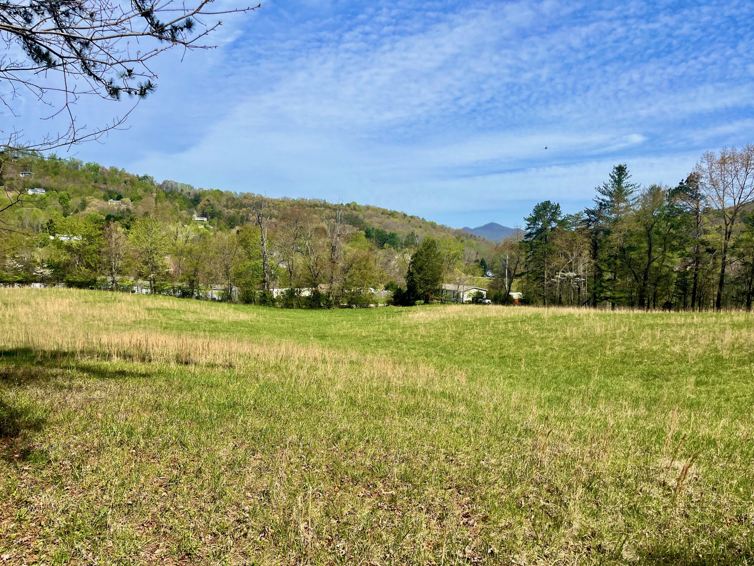 Lollis Rd, Candler NC 28715